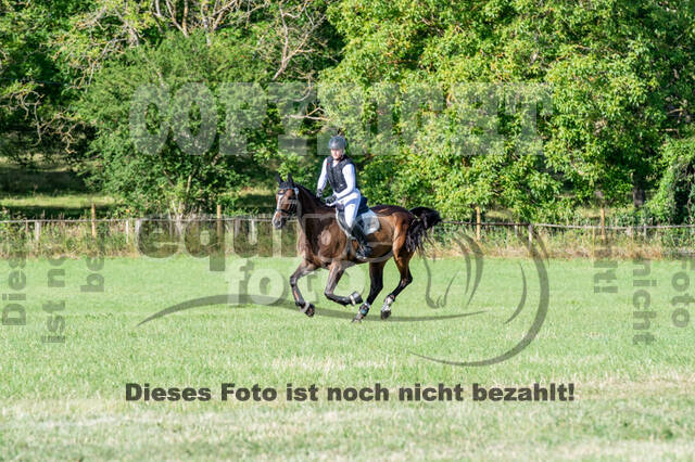 Bonn-Rodderberg Late-Entry-Vielseitigkeit (30.06.2020)