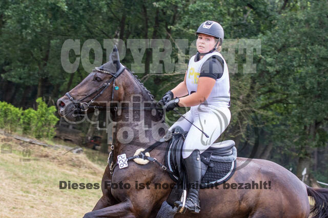 Late-Entry Vielseitigkeit Hamminkeln/Wesel (01.+02.08.2020)