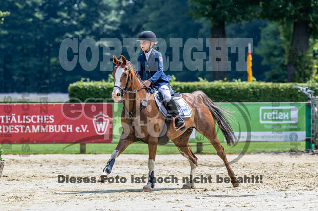 Goldene Schärpe 2021 - Ponys