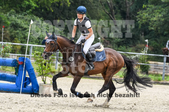 Late-Entry-Vielseitigkeit Langenfeld (11.+13./14.06.2020)