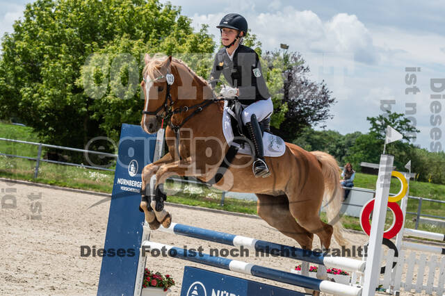 Late-Entry-Vielseitigkeit Langenfeld (06.+07.07.2020)