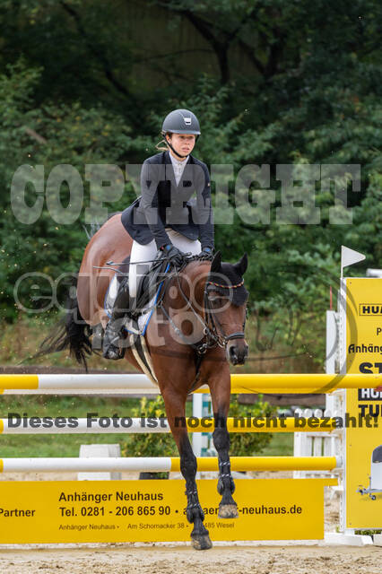 Vielseitigkeit RSV Wesel Obrighoven (26.+27.09.2020)