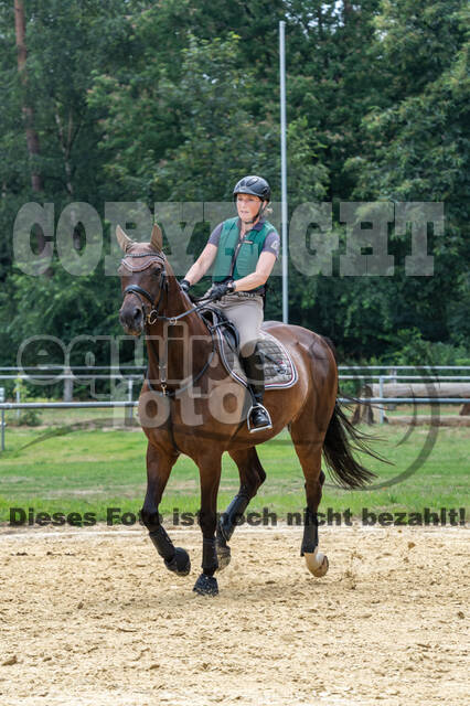 Hunter Geländetraining 10.07.2021 (Sonsbeck)