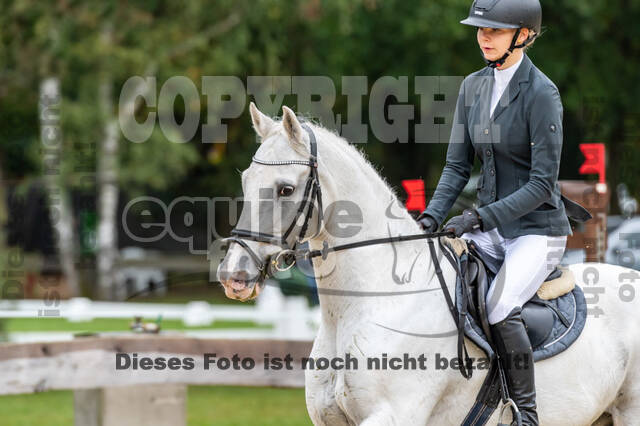 Vielseitigkeit RSV Wesel Obrighoven (26.+27.09.2020)