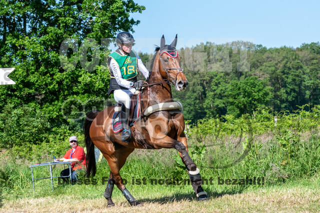 Westerstede Horse Trials (10.-13.06.2021)