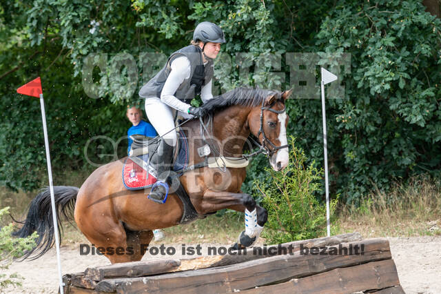 Late-Entry-Vielseitigkeit Langenfeld (11.+13./14.06.2020)