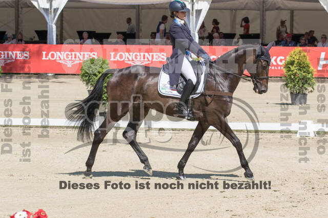 FEI European Championship