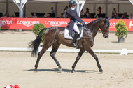 FEI European Championship