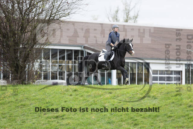 IGV Lehrgang der Sieger der Cups mit Frank Ostholt
