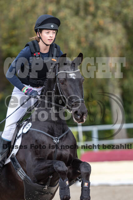 Reiter Schleswig-Holstein