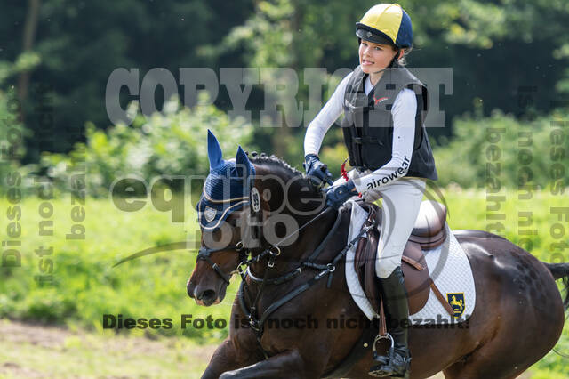 Goldene Schärpe 2021 - Ponys