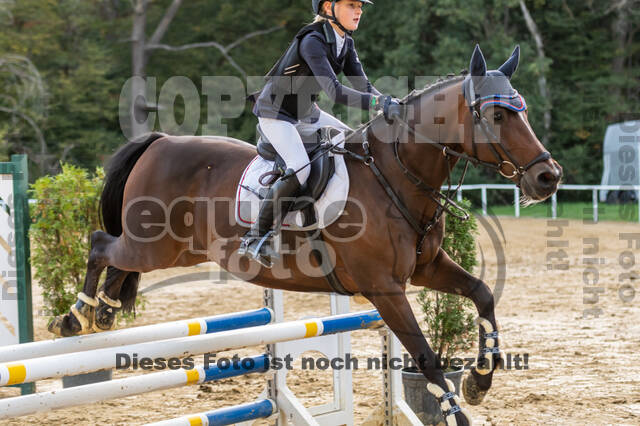 RFV Dinslaken-Hiesfeld (Herbstturnier)