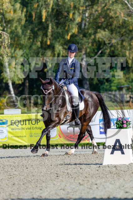 Deutsche Meisterschaft Vielseitigkeit (Luhmühlen)