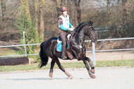 Eventing Langenfeld