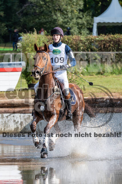 Deutsche Meisterschaft Vielseitigkeit (Luhmühlen)