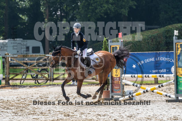 Goldene Schärpe 2021 - Ponys