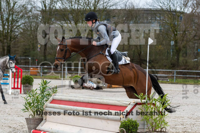 Eventing im Pferdesportzentrum Rheinland (Late Entry 14.03.2022)