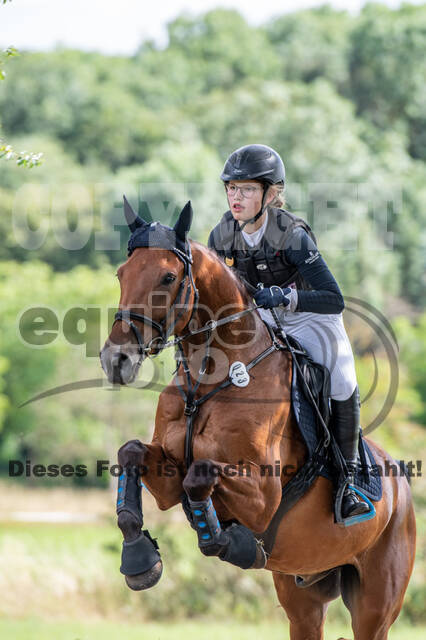 Bonn-Rodderberg Late-Entry-Vielseitigkeit (30.06.2020)