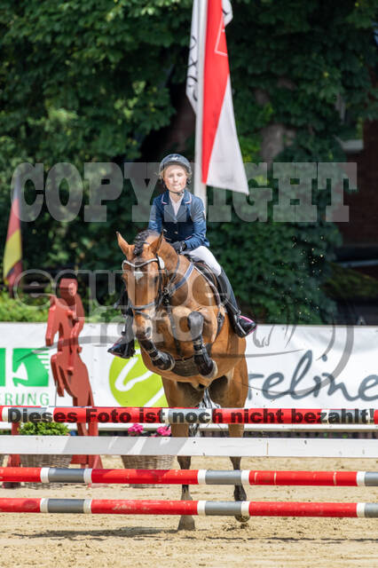 Goldene Schärpe 2021 - Ponys