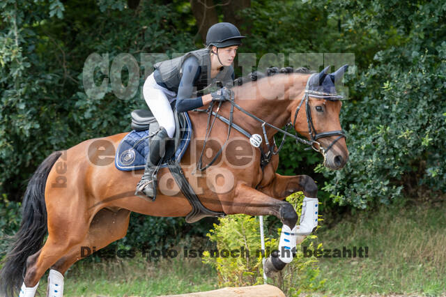 Late-Entry-Vielseitigkeit Langenfeld (06.+07.07.2020)