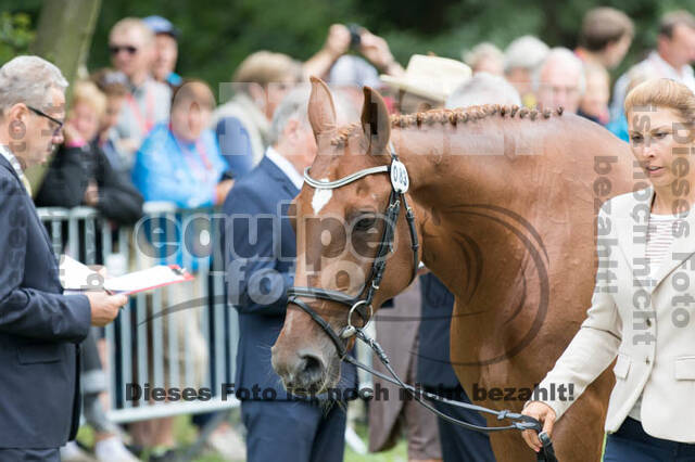 FEI European Championship Eventing 2017
