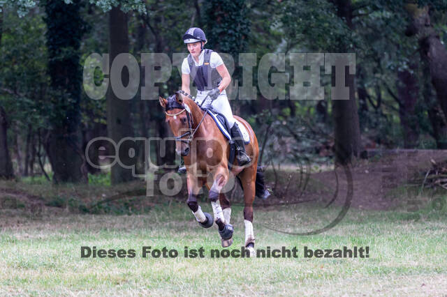 Late-Entry Vielseitigkeit Hamminkeln/Wesel (01.+02.08.2020)