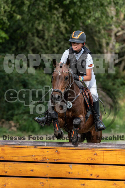 Late-Entry-Vielseitigkeit Langenfeld (06.+07.07.2020)