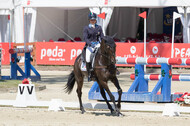 FEI European Championship