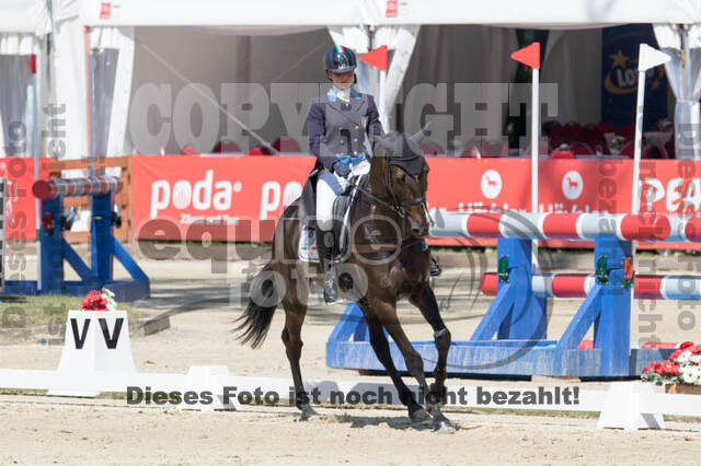 FEI European Championship