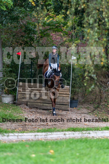 Goldene Schärpe 2020 - Pferde