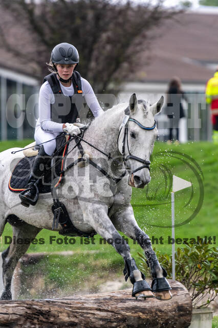 Goldene Schärpe 2020 - Pferde