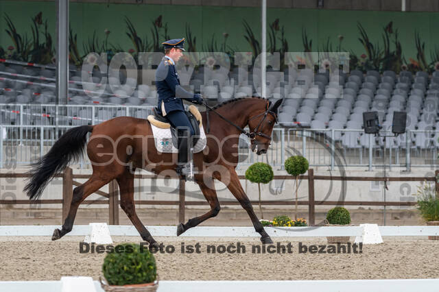 Deutsche Meisterschaft Vielseitigkeit (Luhmühlen)