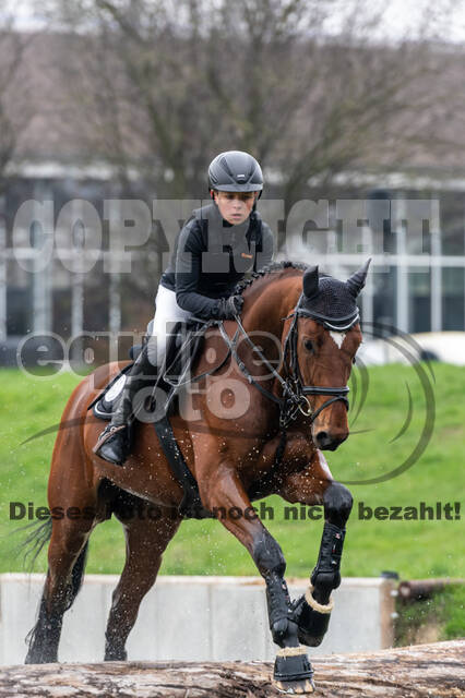 Goldene Schärpe 2020 - Pferde