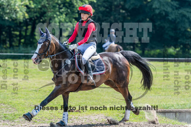 Goldene Schärpe 2021 - Ponys