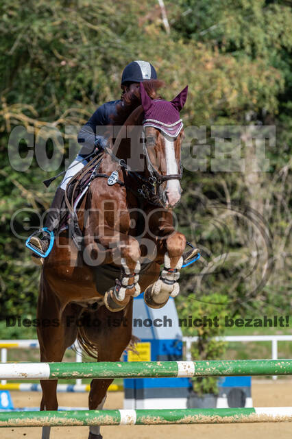 RFV Dinslaken-Hiesfeld (Herbstturnier)