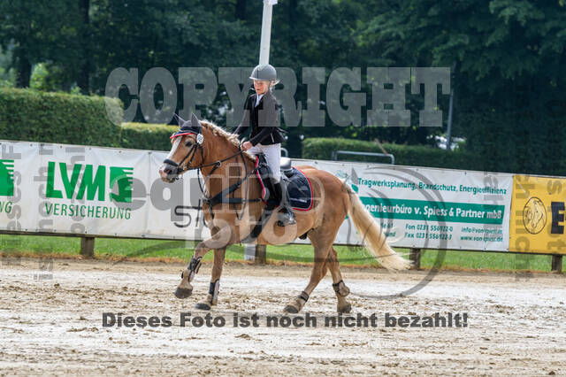 Goldene Schärpe 2021 - Ponys