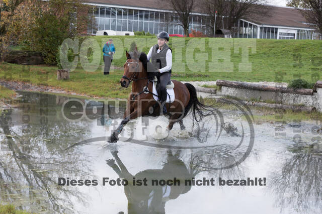 IGV Lehrgang der Sieger der Cups mit Frank Ostholt