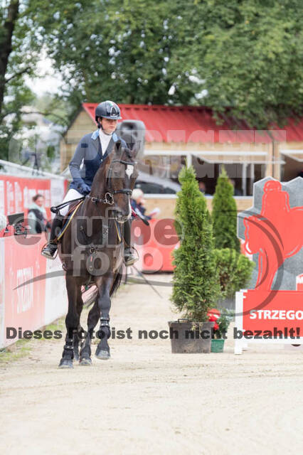 FEI European Championship