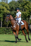 Kronenberg - De Peelbergen (August 2020)