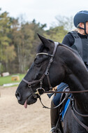 Geländetraining ZRFV Hamminkeln (24+25.04.2021)