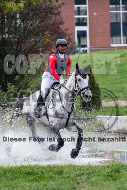 Goldene Schärpe 2020 - Pferde