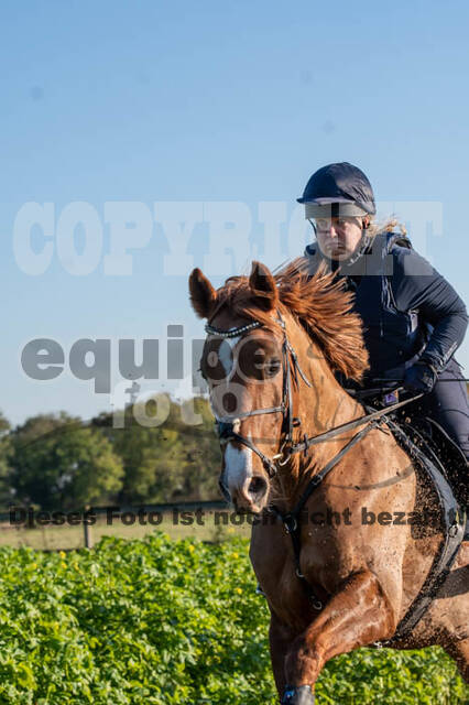 Vielseitigkeitslehrgang mit Jürg Kurbel (9.+10.11.2019)