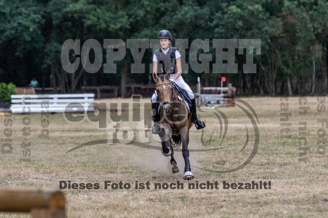 Late-Entry Vielseitigkeit Hamminkeln/Wesel (01.+02.08.2020)