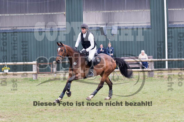 Jungpferdetag Hamminkeln