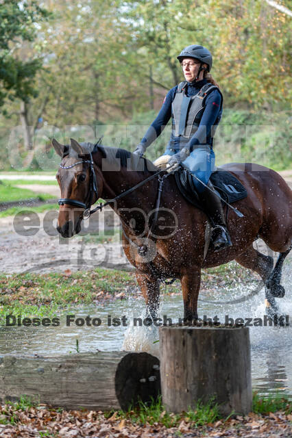IGV Lehrgang der Sieger der Cups mit Frank Ostholt