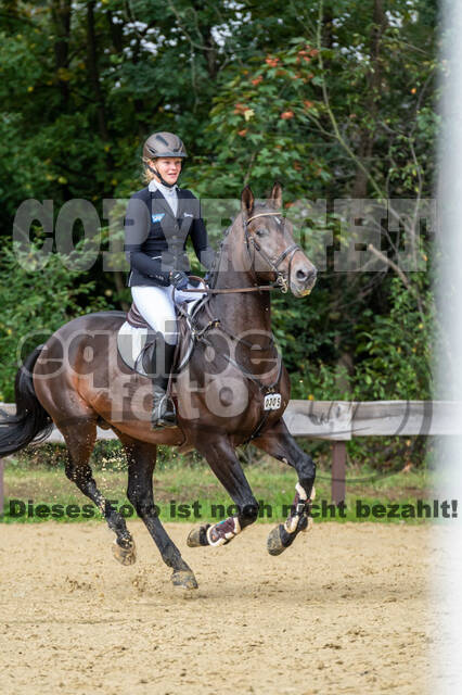 Vielseitigkeit RSV Wesel Obrighoven (26.+27.09.2020)