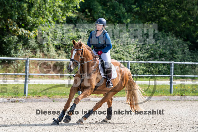 Late-Entry-Vielseitigkeit Langenfeld (11.+13./14.06.2020)