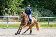 Late-Entry-Vielseitigkeit Langenfeld (11.+13./14.06.2020)