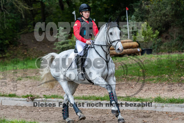 Goldene Schärpe 2020 - Pferde