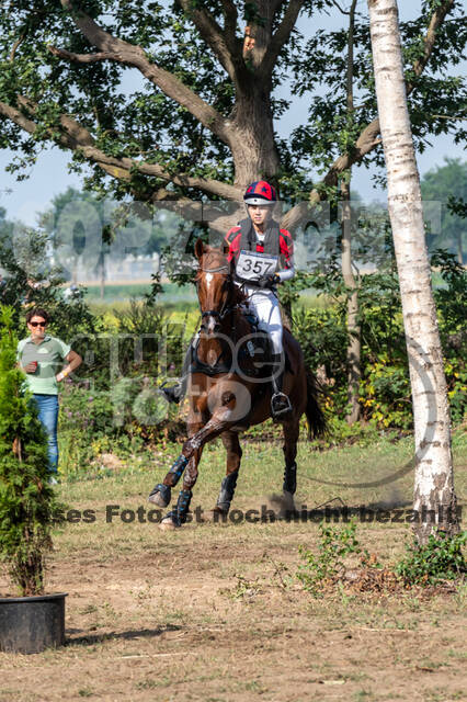 De Peelbergen (August 2020)